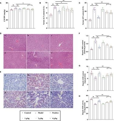 Proteomics and network pharmacology of Ganshu Nuodan capsules in the prevention of alcoholic liver disease